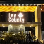 ivy county