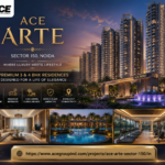 ACE Arte